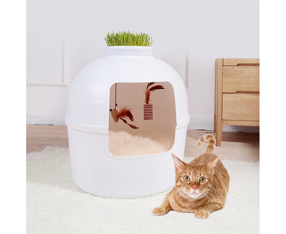 Footloose cat litter outlet box price