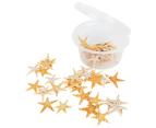 50 Small Sun Star Fish Shells Pack for Craft and Beach Decor 1cm to 2 cm - Natural