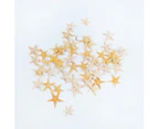 50 Small Sun Star Fish Shells Pack for Craft and Beach Decor 1cm to 2 cm - Natural
