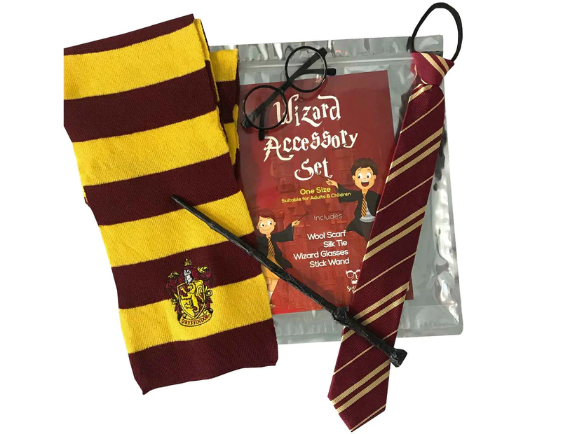 Harry Potter Wizard Costume Accessory Kit