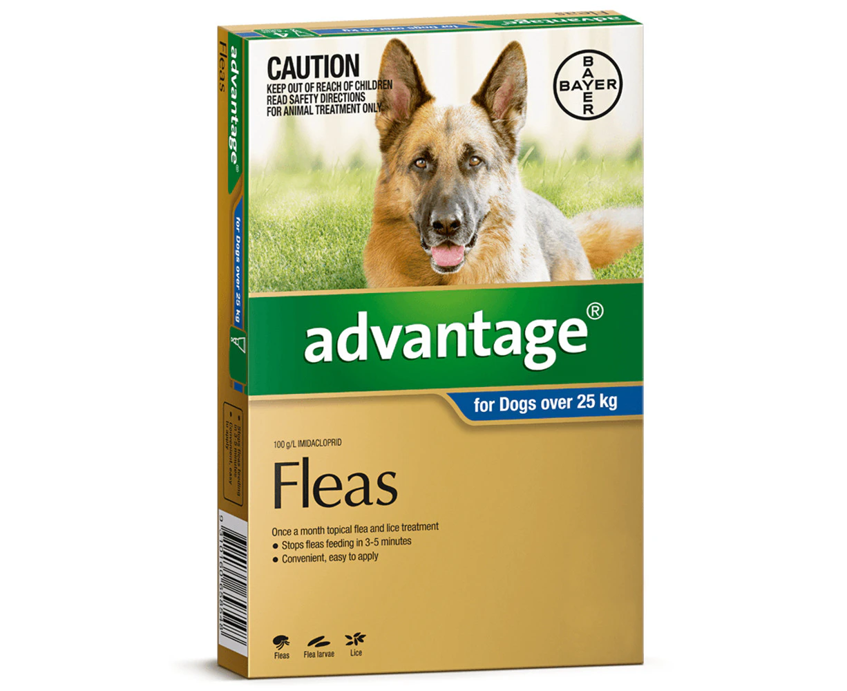 Advantage Extra Large Dog 25kg & Over Blue Spot On Flea Treatment 1 Pack