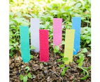 100Pcs Pot Stake Tags Nursery Stick Marker Tool Seed Tray Plastic Plant Labels-White 5x1cm