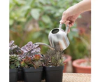 500ml Modern Stainless Steel Pot Indoor House Plants Long Spout Watering Can