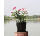 Flower Pot Pumpkin Shape Imitation Porcelain Plastic Flower Pot for Home-Black M