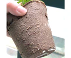 100Pcs Garden Plants Nursery Paper Pots Biodegradable Raising Cups-Brown