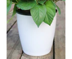 6Pcs/Set Practical Good Absorption Flowerpot Automatic Effective Plastic Plant Container for Home-White