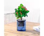 Plant Pot High Durability Large Capacity Plastic Automatic Water Absorbing Round Flower Pots with Cotton Ropes for Home-Blue