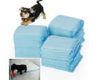 Dhrs 100pcs Dog Toilet Mat Puppy Toilet Puppy Pad Housebroken Training for Pet Pee Training Pads Clean Healthy Mat Pet Peeing Mats 33x45cm