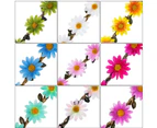Dhrs Lady Girl Headbands Multicolor Daisy Flower Crown Floral Garland compatible with Festival