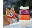 Pet Coat Fur Collar Attractive Soft Comfortable Fine Workmanship Keep Warm Long Lasting Color Matching Pet Cotton Coat Everyday Clothing - Wine Red