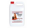 Vetsense Rehydrate Electrolyte Balance Maintenance for Horses 1L