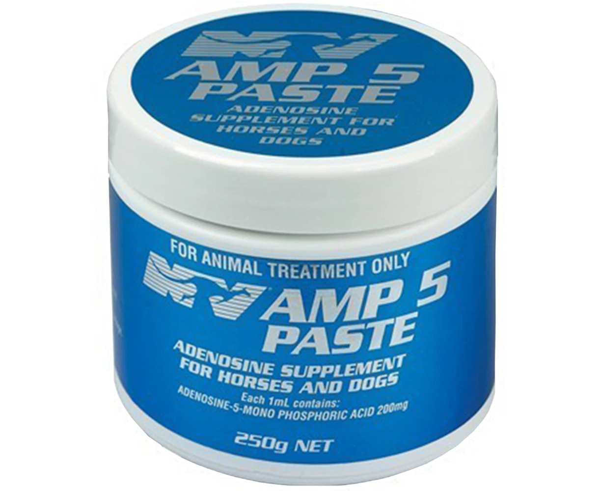 Ceva AMP 5 Muscle Cramp Fatigue Horse Paste 250g