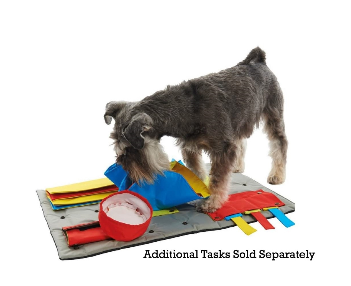  Kruuse Buster Activity Mat Starter Set with 3 Activities -  Snuffle Mat for Dogs - Dog Activity Mat : Pet Supplies