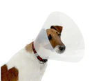 Elizabethan Cone of Shame E-Collar for Dogs - 30cm (Buster Clic) (Kruuse)