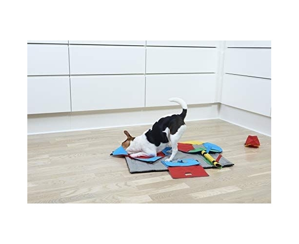 Buster Canvas Activity Snuffle Mat Interactive Dog Toy