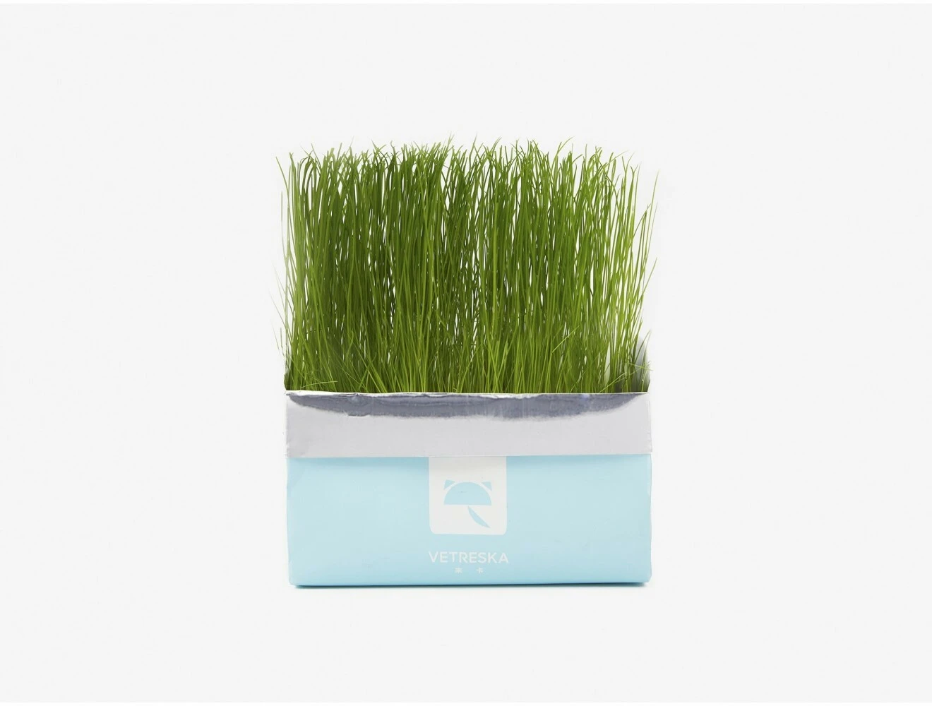 VETRESKA Cat Grass Soilless Seeds - Ryegrass