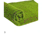 Sunshine Artificial Grass Foldable Beautiful Natural Artificial Moss Grass for Living Room-Coffee Dot#