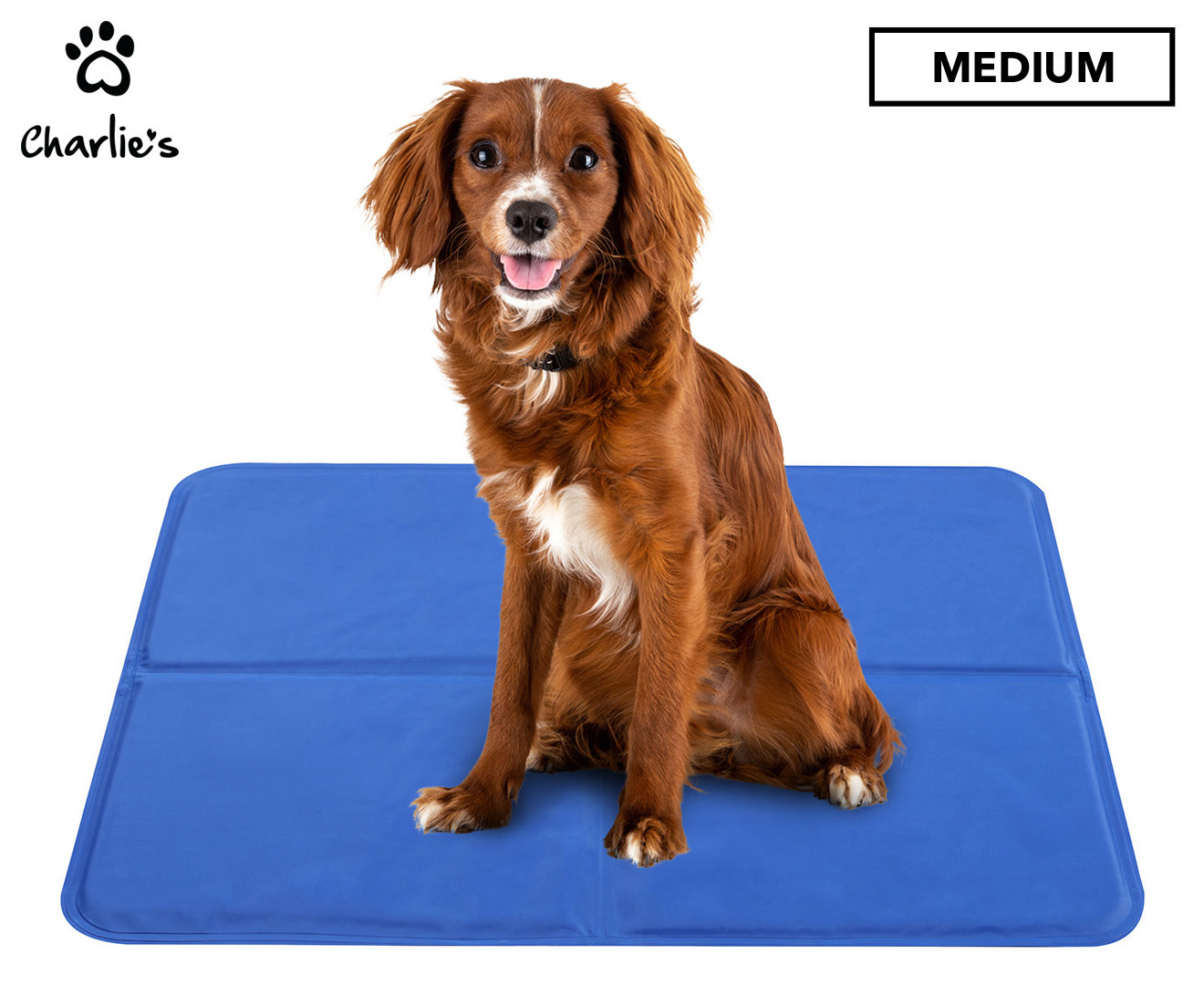 Cooling Dog Mat Kmart | atelier-yuwa.ciao.jp