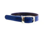 Beau Pets 40cm Blue Leather Deluxe Dog Collar - Australian Made