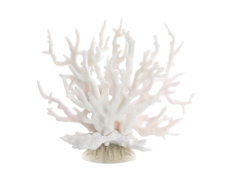 Discover more than 77 coral for home decor latest - vova.edu.vn