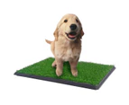 YES4PETS XL Indoor Dog Puppy Toilet Grass Training Mat Loo Pad Potty W 3 Grass