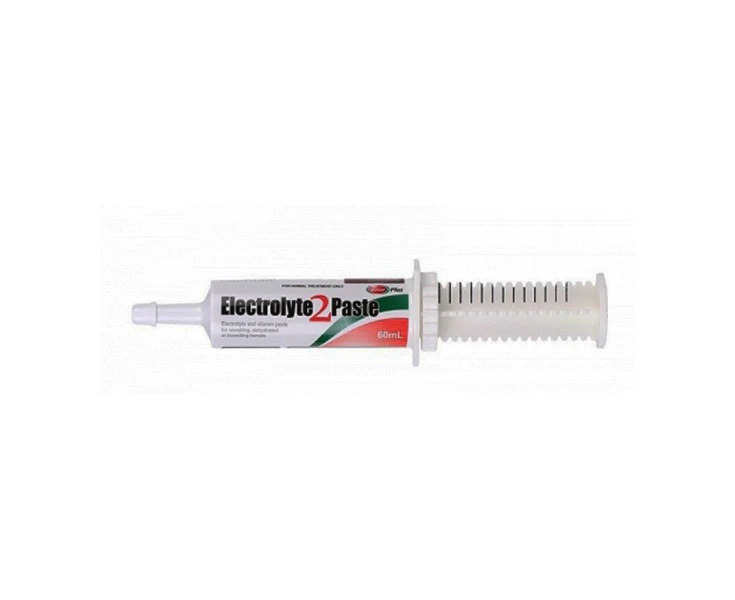 Value Plus Electrolyte Replacement 2 Paste Equine Horse 60ml