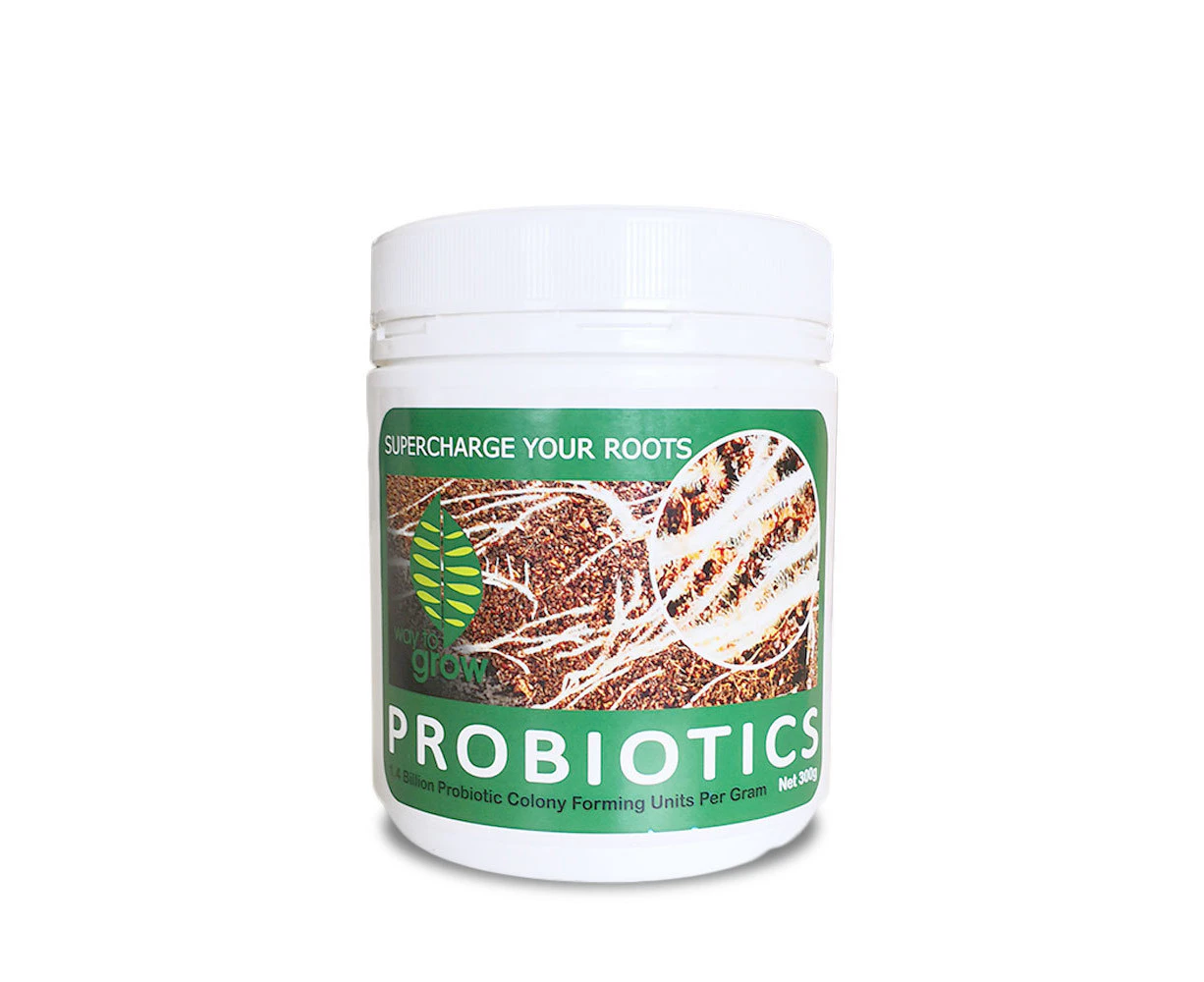 W2G Professional Probiotics - 300GM | Natural Hormones Trichoderma