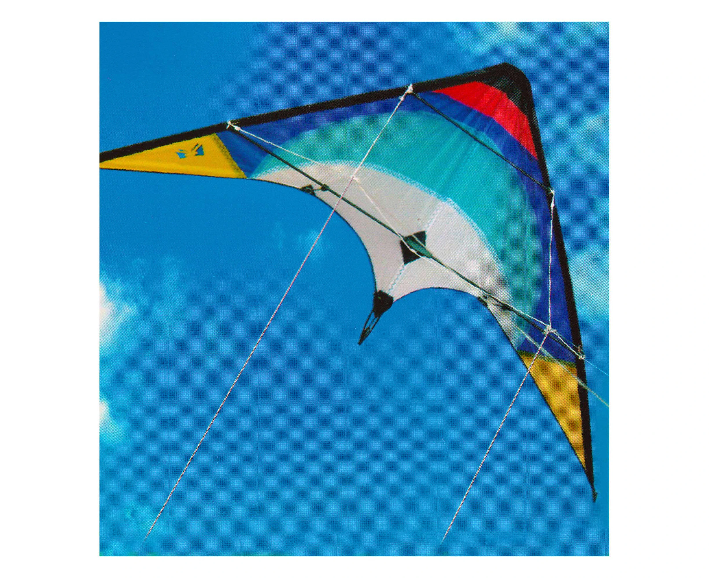 Q Kite Stunt Kite