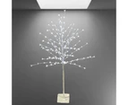 Cherry Blossom Tree White Light LED 1.5m - White