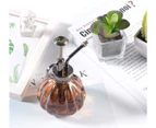 Plant Mister, Vintage Style Decorative Glass Water Spray Bottle with Top Pump Small Watering Can