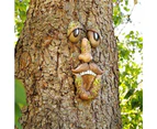 Tree face outdoor statue old man tree hugging bark grimace facial feature decoration