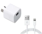 2.1A USB Port Mains Charger with 3M Apple Lightning Cable