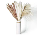 Dried Pampas Grass, 60 Pcs Natural Pampas Grass with 3 Colors