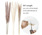Dried Pampas Grass, 60 Pcs Natural Pampas Grass with 3 Colors