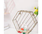 Storage Shelf Nordic Style Removable Grid Shape Wall-mounted Hexagonal Display Shelf Home Decoration-Golden
