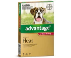 Advantage Large Dog 10-25kg Red Spot On Flea Treatment 1 Pack