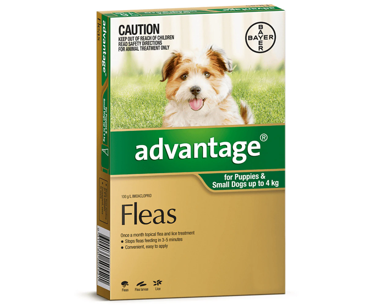 Advantage Small Dog 0-4kg Green Spot On Flea Treatment 1 Pack