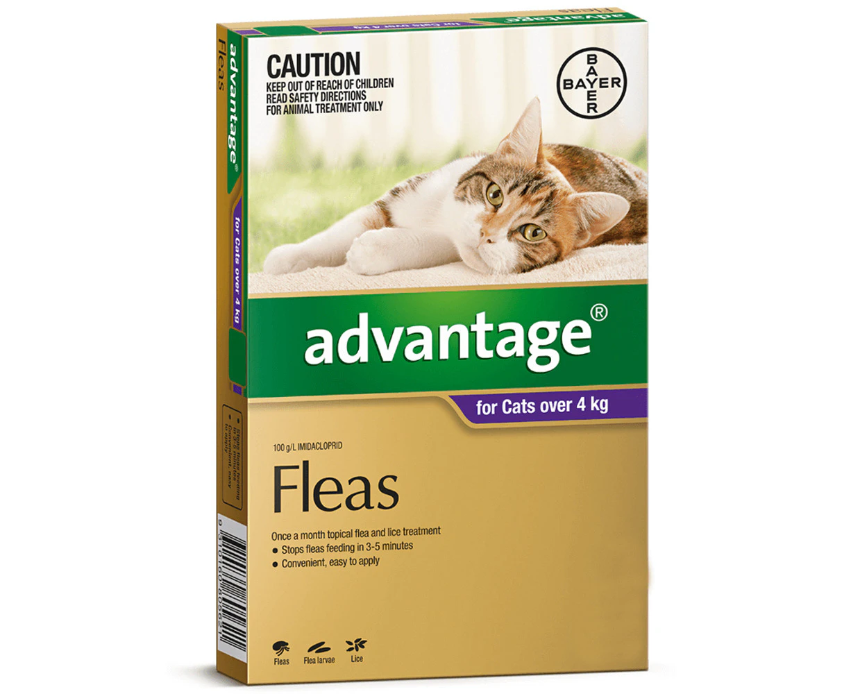 Advantage Large Cat 4kg Over Purple Spot On Flea Treatment 1 Pack