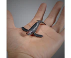 Centaurus Store 12Pcs Mini Marine Whale Shark Animal PVC Figurine Model Kids Development Toy- Ocean Animal