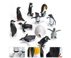 Centaurus Store 11Pcs/Set Animal Model Realistic Cognitive Education PVC Great Penguin Simulation Animal Model Birthday Gift- 11pcs