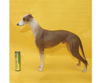 Centaurus Store 20cm Simulation Greyhound Animal PVC Model Action Figure Figurine Kids Toy Decor-Brown