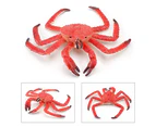 Centaurus Store Animal Model Toy Realistic Educational Cute Mini Sea Life Animal Crab Model Action Figure for Home-Red White