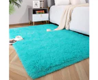Soft Fluffy Area Rugs for Bedroom Kids Room Plush Shaggy Nursery Rug Furry Throw Carpets for Boys Girls, College Dorm Fuzzy Rugs Living Room Home Decorate
