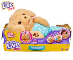 Little Live Pets Charlie The Cozy Dozy Puppy Toy