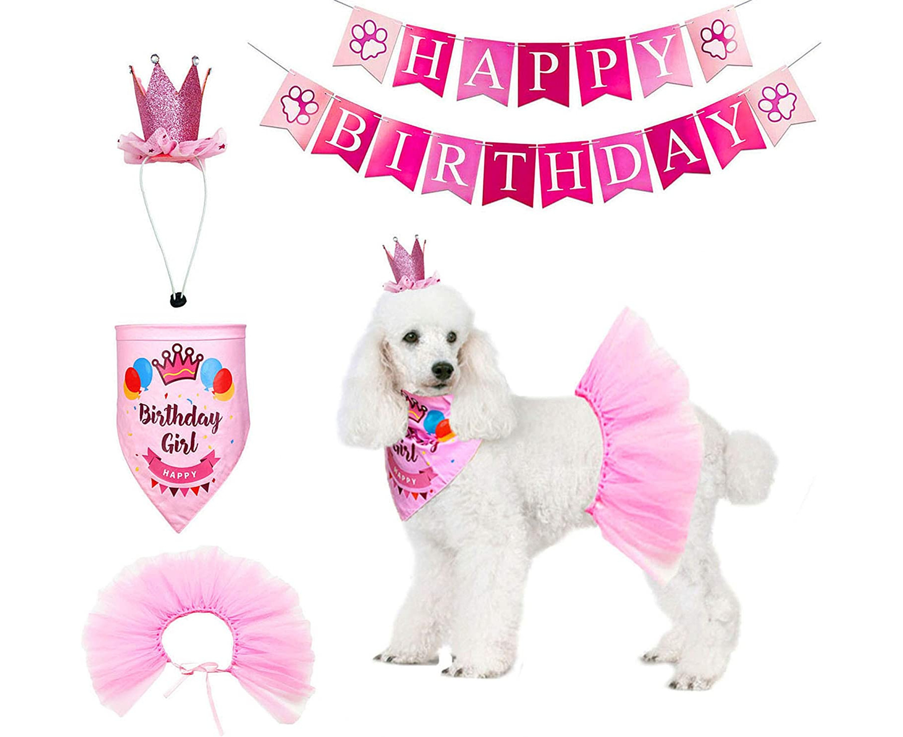 Dog best sale birthday outfit