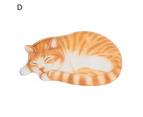 Door Mats Decorative Animal Shape Washable Adorable Sleeping Cat Doormat for Entryway D