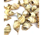 2PCS Conch Shell Pendant Gemstone Charms for DIY Necklace Anklet Sewing Craft Jewelry Accessory