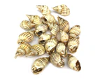 2PCS Conch Shell Pendant Gemstone Charms for DIY Necklace Anklet Sewing Craft Jewelry Accessory