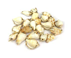 3PCS Conch Shape Shell Pendant Gemstone Charms for DIY Necklace Anklet Sewing Craft Jewelry Accessory