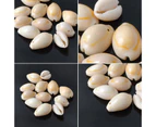 50 Pcs/Bag Natural Shell Beads DIY Jewelry Making Necklace Bracelet Accessories For Diy Making